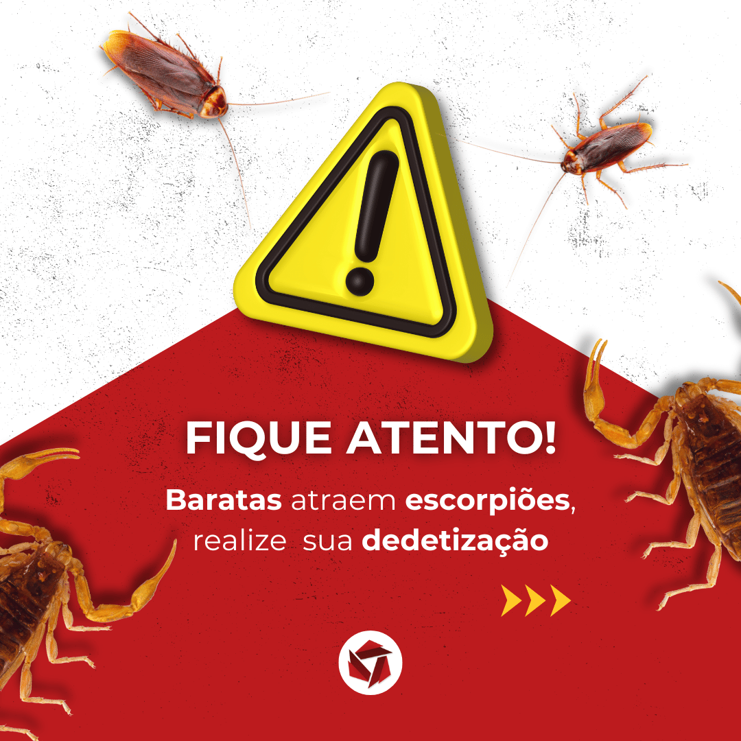 POTENCIA POST 65